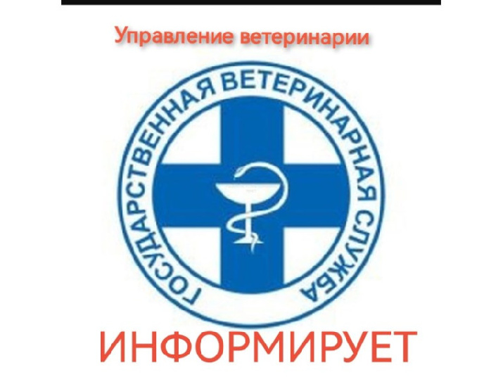 Памятка о порядке действий при заболевании/падеже животных