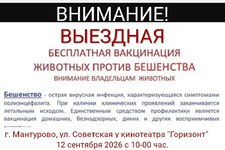 Приглашаем! 12 сентября 2026 года в 10-00 у кинотеатра "Горизонт"