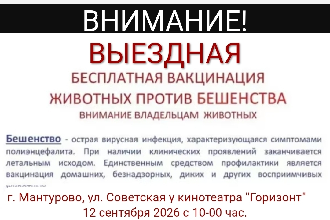 Приглашаем! 12 сентября 2026 года в 10-00 у кинотеатра "Горизонт"