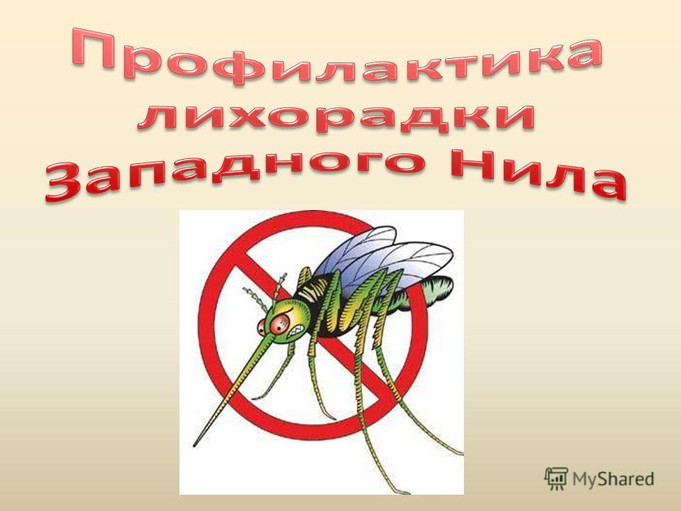 slide_1.jpg