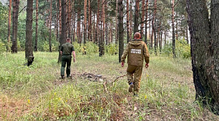 В 12 муниципалитетах Костромской области введен особый противопожарный режим