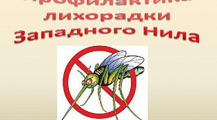 Что необходимо знать населению о ЛЗН (Лихорадке Западного Нила)
