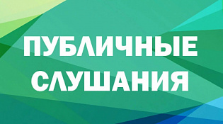 Публичные слушания 20 ноября 2025 года в 14.00
