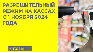 Разрешительный режим на кассах с 1 ноября 2024 года